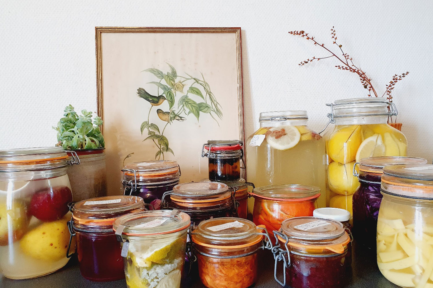 lactofermentation
